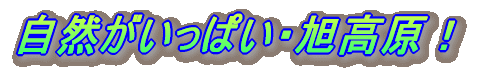 ERI